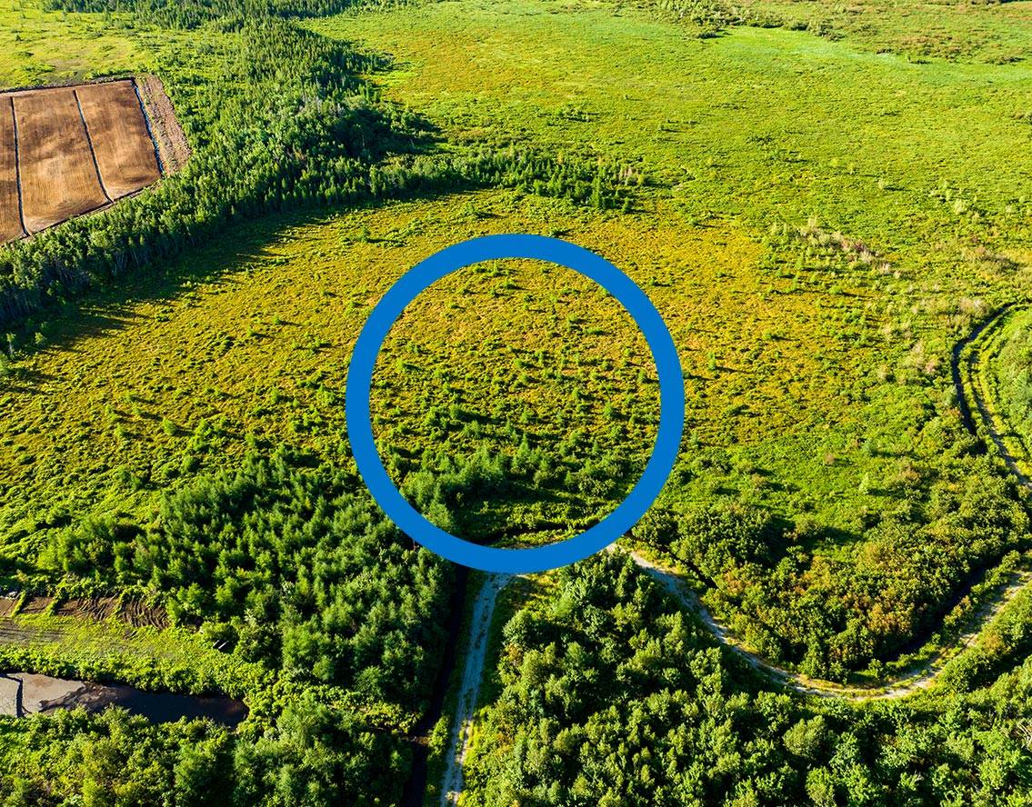 An aerial view of a bog